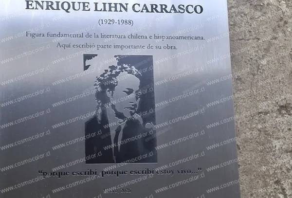 Placas Acero Inoxidable 10