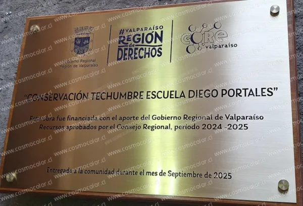Placas Acero Inoxidable 01