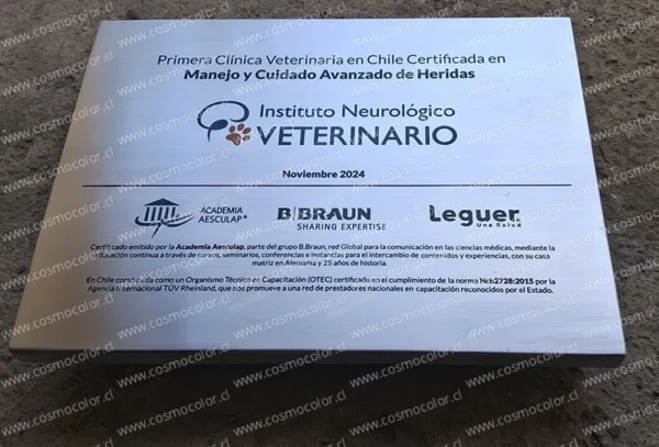 Placas Acero Inoxidable 06