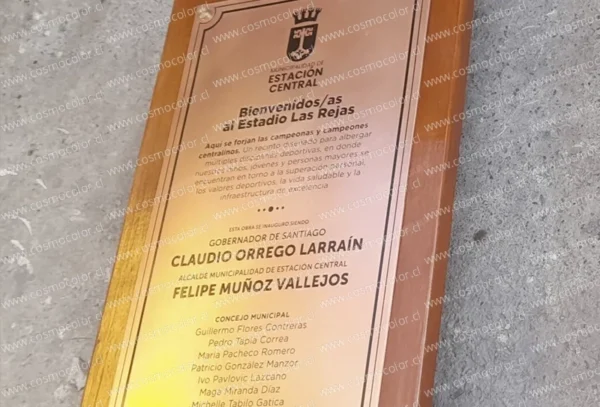 Placas Acero Inoxidable 08